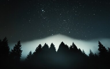 Fototapeta premium Dark Misty Forest Under Starry Night Sky
