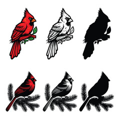 Northern Cardinal bird coloring vector silhouette clipart illustration