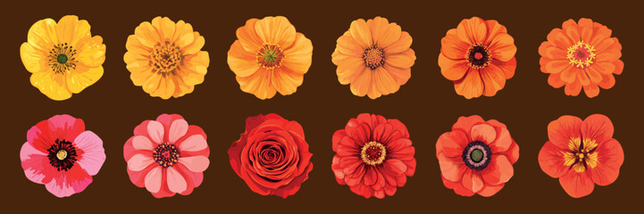 Colorful floral vector illustrations, element vector set