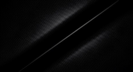 Fototapeta premium Abstract Feather Texture: A Monochromatic Study in Light and Shadow