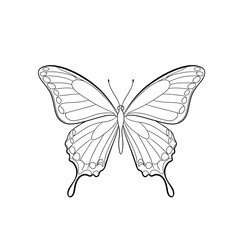 A butterfly. Black line drawing. Black and white illustration.