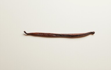 Single Dried Brown Vanilla Bean Pod on White Textured Background