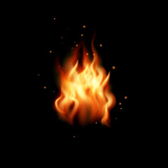 Fototapeta premium Realistic fire flame isolated on black background