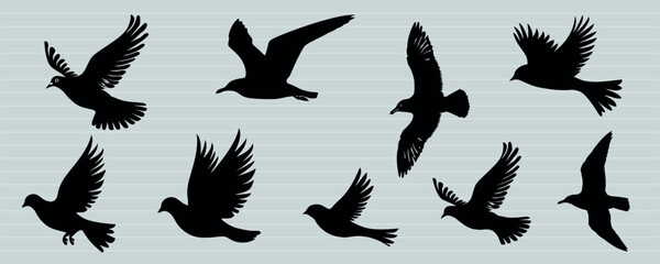 Obraz premium Silhouettes of flying birds, isolated element set vector