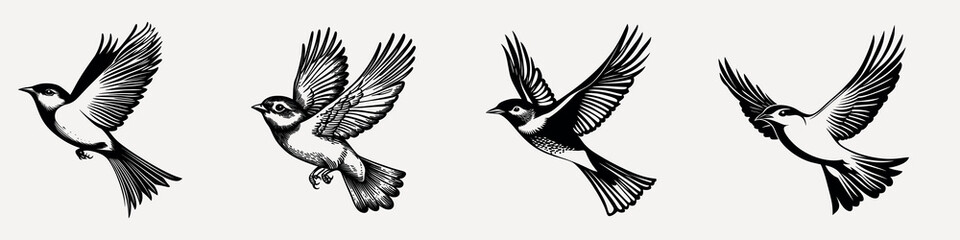 Obraz premium Silhouettes of flying birds, isolated element set vector