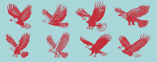 Obraz premium Silhouettes of flying birds, isolated element set vector