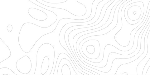 Abstract Blank Detailed Topographic Contour Map Subtle White Vector Background.White wave paper curved reliefs abstract background,paper texture Imitation of a geographical map,