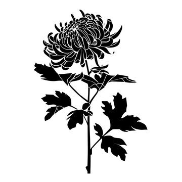 black chrysanthemum flower stem silhouette clip art preview