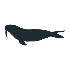 Walrus swimming silhouette animal mammal wildlife vector