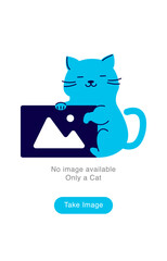 Empty State Illustration. Cat Holding Image Icon. No Image Available