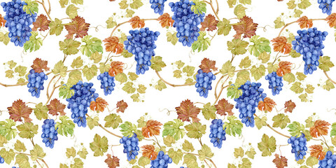 Seamless watercolor pattern with black grapes. Beautifully intertwined branches with blue berries and foliage. Clipart for wine label design, for a country wedding, invitations or textiles.