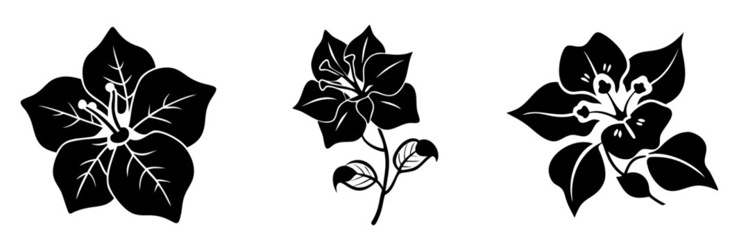 bougainvillea flowerr icon, bougainvillea flowerr silhouette vector illustration-simple silhouette illustration of bougainvillea flowerr, perfect for bougainvillea flowerr logos and icons