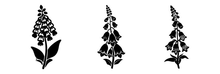 foxglove flower icon, foxglove flower silhouette vector illustration-simple silhouette illustration of foxglove flower, perfect for foxglove flower logos and icons © Md