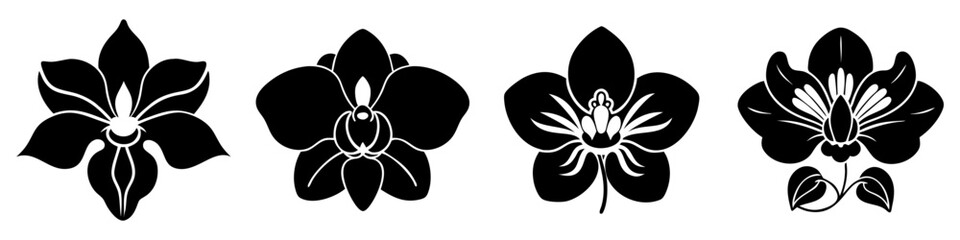 orchid flower icon, orchid flower silhouette vector illustration-simple silhouette illustration of orchid flower, perfect for orchid flower logos and icons © Md