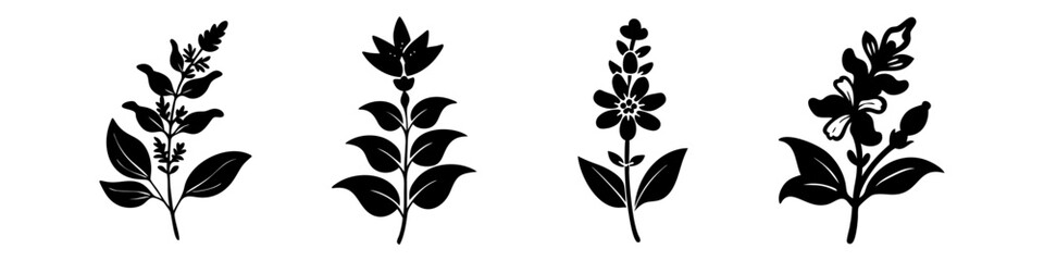 salvia flower icon, salvia flower silhouette vector illustration-simple silhouette illustration of salvia flower, perfect for salvia flower logos and icons