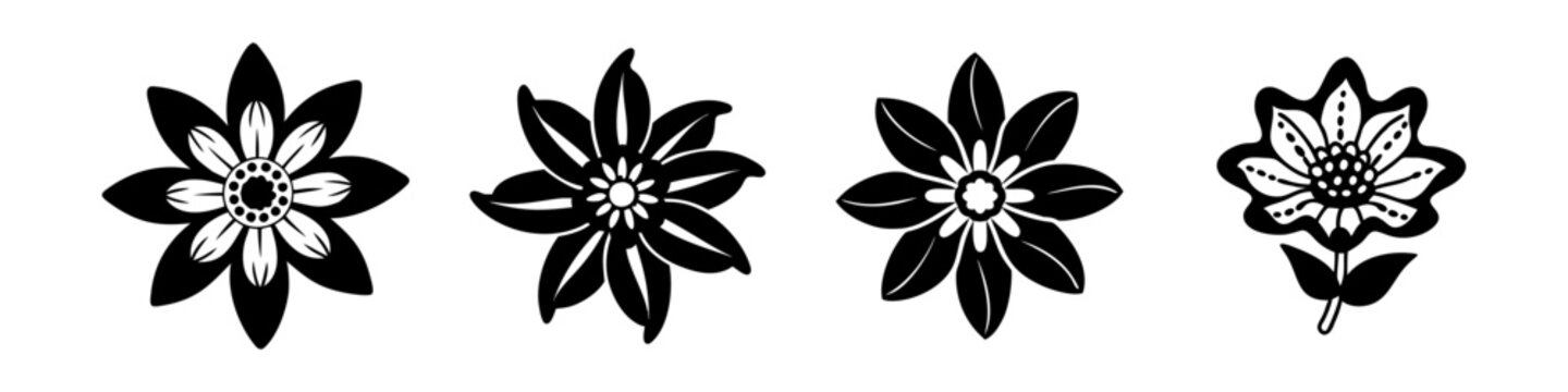 anemopsis yerba mansa flower icon, anemopsis yerba mansa flower vector, 