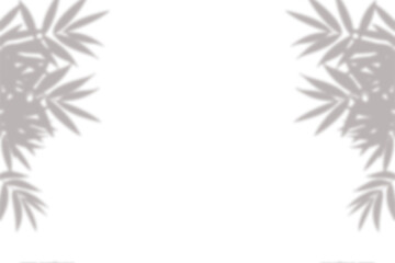 Obraz premium Realistic leaf shadow overlay effect isolated on white background, Natural shadow of tropical palm branch. Mockup of transparent shadow for product presentation, backdrop, Design elements, PNG