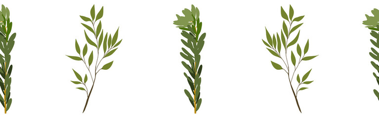 Leaves border on a white background. Hand-drawn illustration. Perfect for spring and summer.	