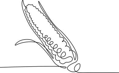 Corn continuous one line drawing, single line art element, minimalist sketch line vector illustration, Autum and thanksgiving concept, Vegetables corn vector.