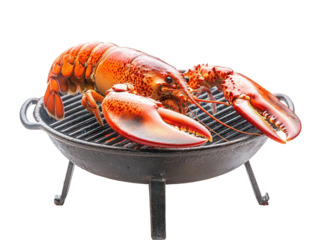 A vibrant cooked lobster placed on a grill, showcasing its rich red color and large claws, Transparent Background.