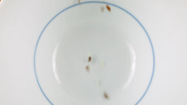 Salad seed mix is ​​poured into a white ceramic bowl. Sesame, flax, caraway, sunflower and pumpkin seeds. Top view. Slow motion.
