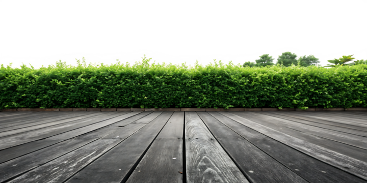 wooden floor with green bushes isolated on white background png. AI Generated