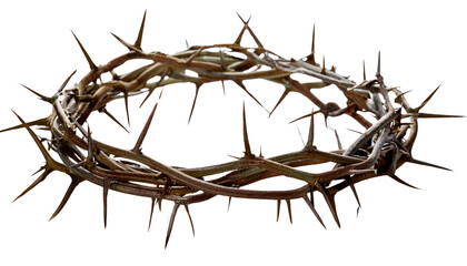 crown of thorns isolated on transparent background