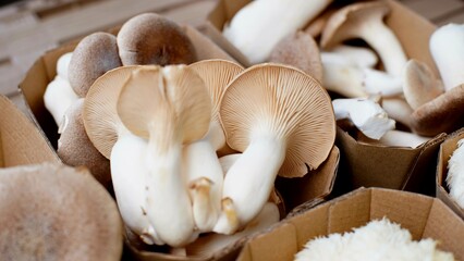 mushrooms lie in a crate at the farmer's market. Closeup 