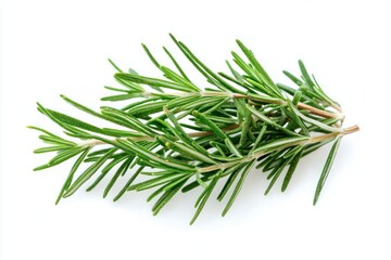 Fototapeta premium Fresh rosemary sprig against a clean white background studio shot emphasizing herbal beauty and culinary applications simple and pure