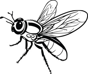vector illustration of a wasp