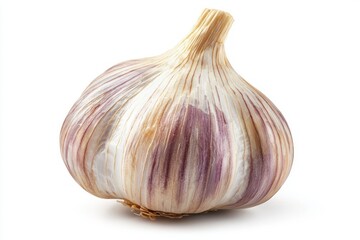 Studio shot of fresh organic single garlic bulb with healthy benefits in natural soft light