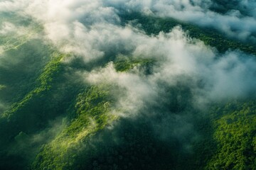 Aerial View of Green Forested Mountains Partially Covered in Morning Mist