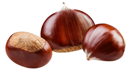 chestnuts isolated on transparent background png