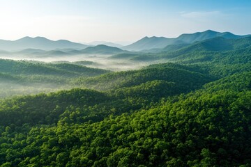 Naklejka premium Aerial View of Forest Hills with Morning Mist and Mountain Scenery