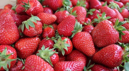 Strawberry full frame. Fresh strawberry Image