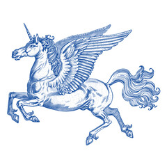 Hand drawn pegasus drawing animal wings vector