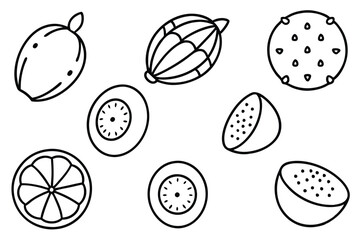 abiu line art illustration for creative modern design.eps