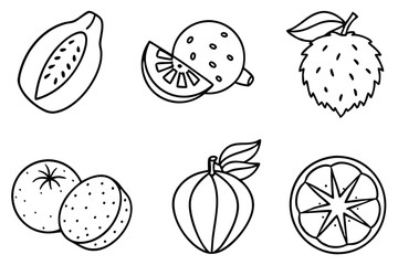  abiu line art illustration minimal black and white artwork.eps