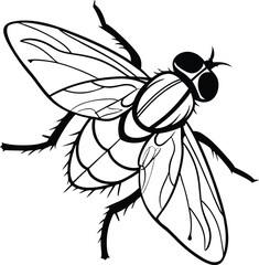 Cockroach bee on white background