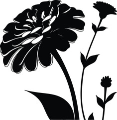 black and white flower