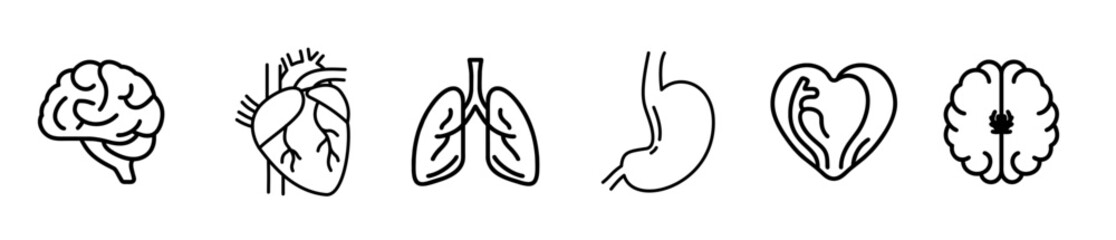 Obraz premium Human Anatomy icon set. Vector. editable