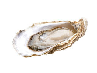 A detailed oyster shell showcasing its intricate layers and glossy interior, Transparent Background.