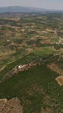 Aerial Wine valley in Douro