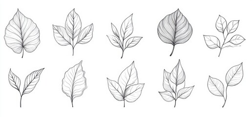 Ten Monochrome Dotted Line Leaf Illustrations on White Background