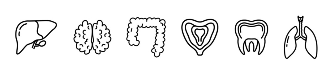 Human Anatomy icon set. Vector. editable