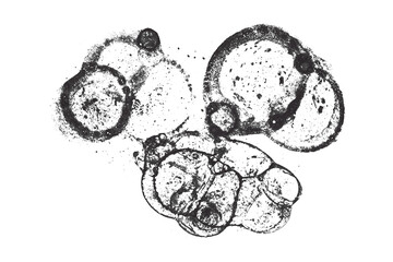 Bright black watercolor or ink stains with watercolor marks on transparent background.