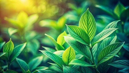 Obraz premium Vintage Close-up of Lush Green Leaves, Abstract Blurred Background - Stock Photo