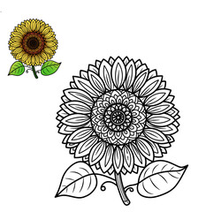 Fototapeta premium A bright and engaging coloring page of a sunflower with a big circular center, wide petals, and two large leaves, drawn in a way that encourages kids to explore colors