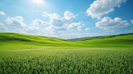 Fototapeta premium Lush green fields, rolling hills, sunny day, countryside landscape, perfect for nature photography
