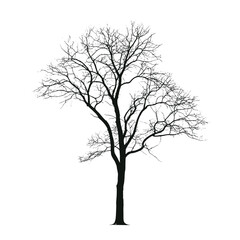 Fototapeta premium Higher tree silhouette illustration isolated vector